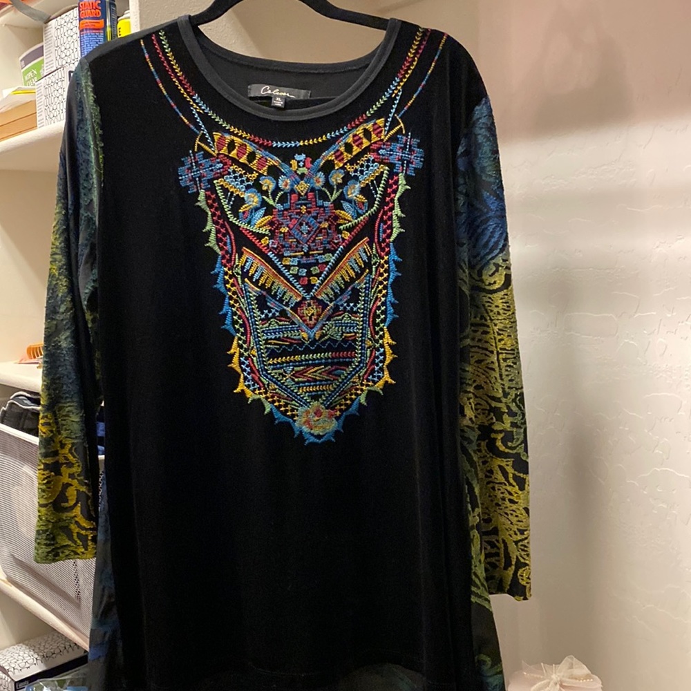 Gorgeous velvet and embroidered tunic